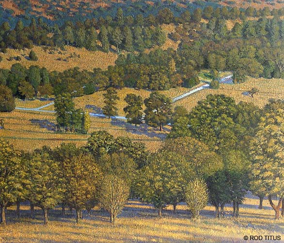 ROD TITUS Alan's Meadow - Alan's Meadow - Small OC / large