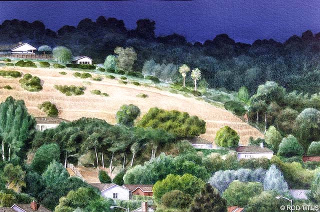 ROD TITUS Mills Estate - Hillside - Early Morning PIW / Description