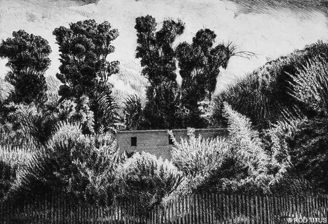 ROD TITUS Individual Works - House Among Trees E / Description
