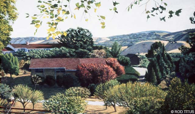 ROD TITUS Individual Works - Lafayette OC / Description