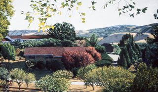 ROD TITUS Individual Works - Lafayette OC / Description